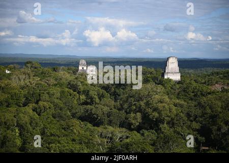 Eine schöne Aufnahme des Großen Jaguar Tikal in Guatemala Stockfoto