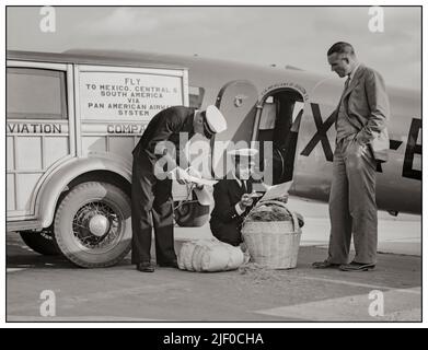 Quarantäneinspektoren 1930s untersuchen Fluggepäck aus Mexiko auf schädliche Insekten. Glendale Airport, Kalifornien Dorothea lange, Fotografin. Farm Security Administration Erstellt/Veröffentlicht Am 1937. Mai. Kalifornien USA Stadt Glendale Land Vereinigte Staaten County Los Angeles County Staat Kalifornien Stockfoto
