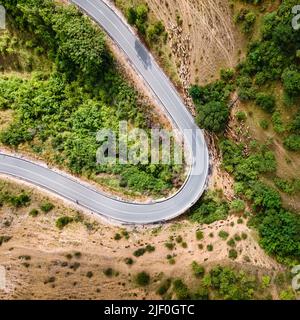 Schafschar, die mit ihrem Hirten entlang einer Bergstraße läuft. Stockfoto