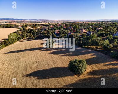 Luftaufnahme der Landschaft von Castilla mit Häusern zwischen den Bäumen. Segovia. Stockfoto