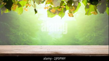 Lindenbaum und Blumen. Blumen blühen auf Lindenzweigen auf leerem Tisch. Sonnenuntergang und Sommersaison. Für Produktpositionierung und grafische Arbeiten. Stockfoto