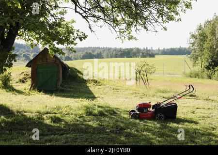 Rasenmäher auf grünem Gras im Garten. Maschine zum Schneiden von Rasen. Rasenmäher mit Rasenmäher Stockfoto