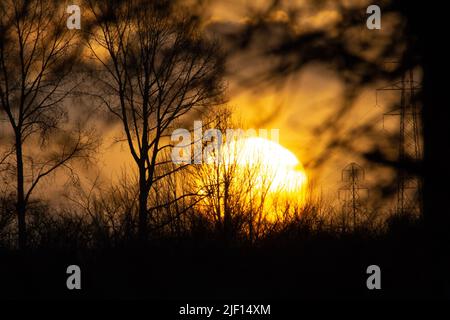 goldener Sonnenaufgang mit Bäumen, die mit Macht gegen die Sonne geschildet wurden Linien im Vordergrund Stockfoto