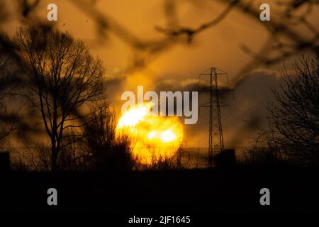 sonnenaufgang mit Bäumen, die gegen die Sonne geschildet wurden, mit Stromleitungen im Vordergrund Stockfoto