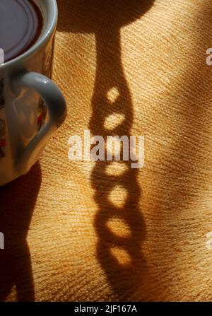 Eine Tasse türkischer Kaffee mit Kaffeekocher auf dem Tisch Stockfoto