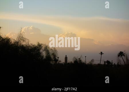 Sonnenuntergang mit Bäumen und Palmen und einer in der Ferne umrissenen Moschee mit Sturmwolken und einem Hauch von Rosa am Himmel im Hintergrund Stockfoto