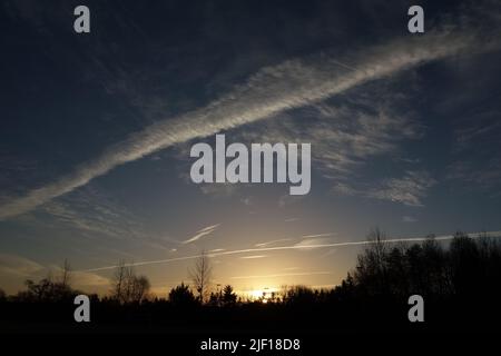 Gelb und orange Sonnenuntergang und con Trails mit Bäumen Silhouetten gegen die Wolken und blauen Himmel Stockfoto