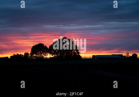 Rosa und lila Wolken am Himmel nach Sonnenuntergang. Bäume und ein Bauernhof werden gegen den Abendhimmel silhouettiert. Stockfoto
