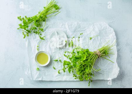 Winterpursloan, indischer Salat, gesundes grünes Gemüse für rohe Salate und Kochen mit Olivenöl und Salz. Claytonia perfoliata Stockfoto