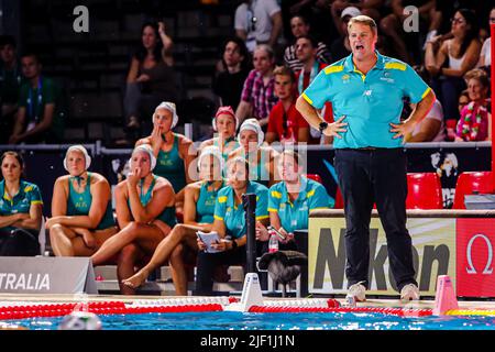 BUDAPEST, UNGARN - 28. JUNI: Cheftrainer Paul Oberman aus Australien während der Finalspiel der FINA World Championships Budapest 2022 Quarter Australia gegen Hungary am 28. Juni 2022 in Budapest, Ungarn (Foto: Albert ten Hove/Orange Picts) Stockfoto