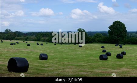 Heuballen in schwarzen Kunststoffbelägen in grün grasbewachsenem Feld unter blauem Himmel mit Wolken in englischer Landschaft Stockfoto