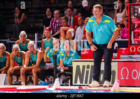 BUDAPEST, UNGARN - 28. JUNI: Cheftrainer Paul Oberman aus Australien während der Finalspiel der FINA World Championships Budapest 2022 Quarter Australia gegen Hungary am 28. Juni 2022 in Budapest, Ungarn (Foto: Albert ten Hove/Orange Picts) Stockfoto