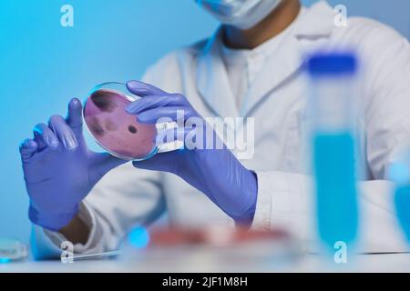 Nahaufnahme eines nicht erkennbaren Mikrobiologen in Operationshandschuhen, der Petrischale mit Kulturzellen hält, während er an Bakterien forscht Stockfoto