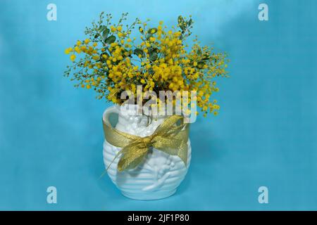 Schöne frische Golden Wattle (AKA - Mount Morgan Wattle, Silver Wattle und Queensland Wattle) Acacia Podalyriifolia, in einer dekorativen weißen Keramik VA Stockfoto