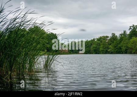 Dudmaston Großer Pool Stockfoto