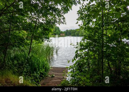 Dudmaston Großer Pool Stockfoto