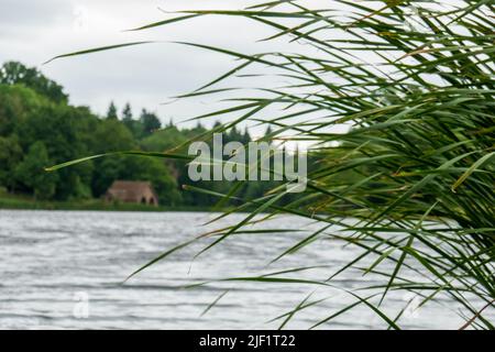 Dudmaston Großer Pool Stockfoto