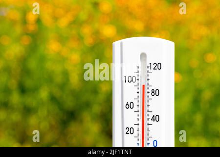 Outdoor-Thermometer in der Sonne während der Hitzewelle mit Blumen im Hintergrund. Heißwetter, Hochtemperatur- und Hitzewarnkonzept. Stockfoto