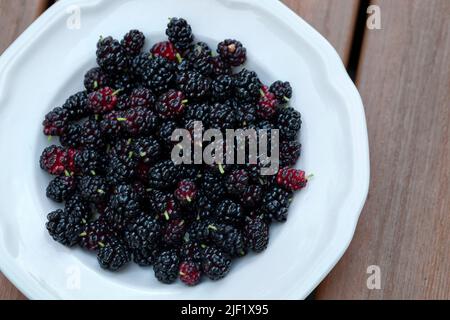 Blick von oben auf frisch gepflückte Maulbeeren aus der Nähe in einer weißen Schüssel auf einer Holzoberfläche Stockfoto