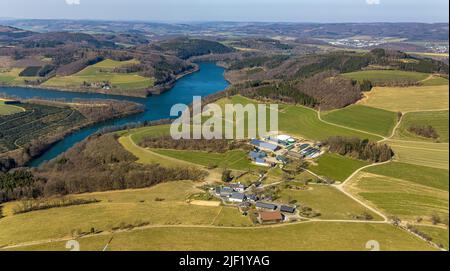 Luftaufnahme, Henne-Talsperre, Milchviehbetrieb Kotthoff und Xaver's Ranch mit Sonnendach in Vellinghausen, Meschede, Sauerland, Nordrhein-Westfalen, Ge Stockfoto