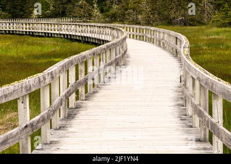 Eine hölzerne Promenade schlängelt sich durch das sumpfige Gebiet hinter Risser's Beach in Nova Scotia. Stockfoto