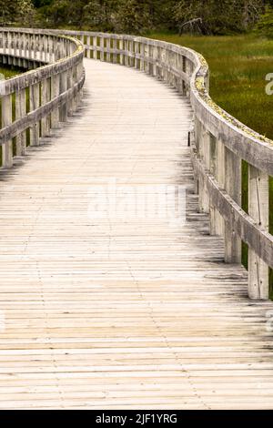 Eine hölzerne Promenade schlängelt sich durch das sumpfige Gebiet hinter Risser's Beach in Nova Scotia. Stockfoto