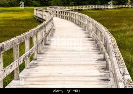 Eine hölzerne Promenade schlängelt sich durch das sumpfige Gebiet hinter Risser's Beach in Nova Scotia. Stockfoto