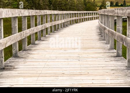 Eine hölzerne Promenade schlängelt sich durch das sumpfige Gebiet hinter Risser's Beach in Nova Scotia. Stockfoto