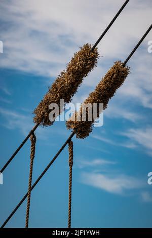 Kafeschutz an Seilen im Takelieren des Schoners Bluenose II. Stockfoto