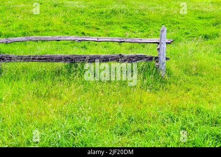 Alter Zaun und Grünfeld Stockfoto
