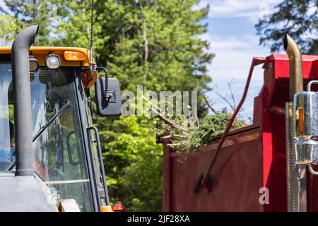 Selektiver Fokus auf den vorderen Auspuff und die Windschutzscheibe eines Baggers, verschwommener dumper LKW wird mit Baumzweigen gefüllt gesehen. Nach einem Sturm aufräumen. Stockfoto