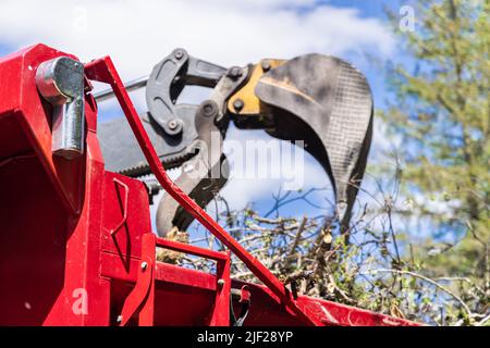 Nahaufnahme mit selektivem Fokus mit einem verschwommenen Arm und Eimer eines Baggers, der nach starken Winden einen roten Dumper-Anhänger mit Ästen und Trümmern beladen hat. Stockfoto