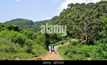 Ooty, Tamilnadu, Indien-Juni 04 2022: Touristen wandern in Ooty, um den Sightseeing-Ort Needle Rock Aussichtspunkt oder Suicide Point zu genießen. Bester Wanderort c Stockfoto