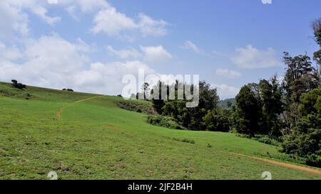 Wunderschöne und erstaunliche Landschaften von Wenlock Downs 9. Mile Shooting Point. Perfekte natürliche üppige grüne Land für Familie, Fotografie, Sightseeing und Stockfoto