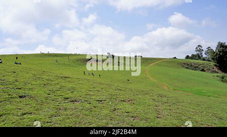 Wunderschöne und erstaunliche Landschaften von Wenlock Downs 9. Mile Shooting Point. Perfekte natürliche üppige grüne Land für Familie, Fotografie, Sightseeing und Stockfoto