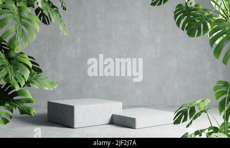 Zwei rechteckige Podien in grauem Loft-Hintergrund mit Monstera-Pflanze im Vordergrund. Abstrakte Tapete Vorlage Element und Architektur Inneneinrichtung Objekt Stockfoto