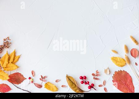 Flacher Lagenrahmen mit bunten Herbstblättern und Beeren auf weißem Hintergrund. Platz für Text. Hallo Herbstkonzept Stockfoto