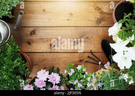 Draufsicht auf Gartenarbeit, Landschaftsbau-Werkzeuge und Ausrüstung, verschiedene Blumen und verschiedene Kräuter in Töpfen auf braunem Holz Hintergrund flach legen. Leerer leerer Kopierbereich für Text. Gärtner arbeiten im Gartenkonzept Stockfoto