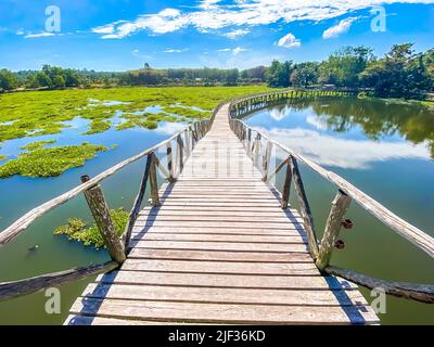 Nong Yai Teich und Holzbrücke in Chumphon, Thailand Stockfoto