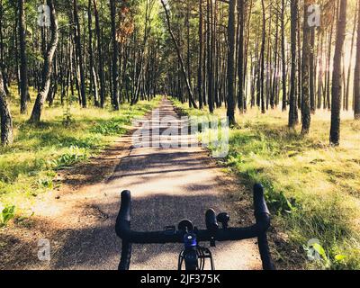 Vorderansicht Fahrrad Straße Fahrrad Griffe mit Waldbaum Hintergrund in kurische Nehrung Route Weg. Berühmte Urlaub Radfahren Ziel in Litauen Stockfoto