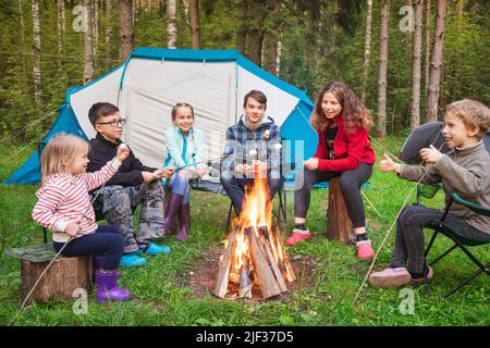 Sechs Kinder unterschiedlichen Alters sitzen zusammen um brennendes Lagerfeuer und rösten Marschwalben, während sie in einem Sommerwald campen. Camping-Zelte sind zu sehen ich Stockfoto