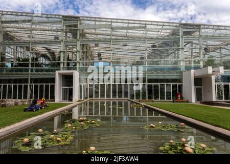 Padua, Italien - 06 10 2022: Der Garten der Biodiversität im Botanischen Garten in Padua an einem Sommertag. Stockfoto