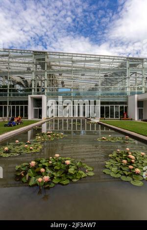 Padua, Italien - 06 10 2022: Der Garten der Biodiversität im Botanischen Garten in Padua an einem Sommertag. Stockfoto