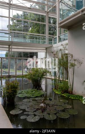 Padua, Italien - 06 10 2022: Der Garten der Biodiversität im Botanischen Garten in Padua an einem Sommertag. Stockfoto