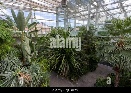 Padua, Italien - 06 10 2022: Der Garten der Biodiversität im Botanischen Garten in Padua an einem Sommertag. Stockfoto