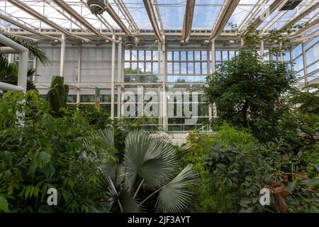 Padua, Italien - 06 10 2022: Der Garten der Biodiversität im Botanischen Garten in Padua an einem Sommertag. Stockfoto