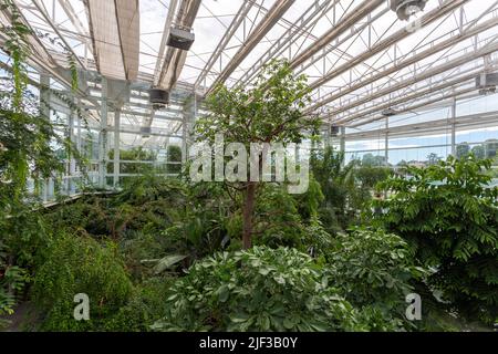 Padua, Italien - 06 10 2022: Der Garten der Biodiversität im Botanischen Garten in Padua an einem Sommertag. Stockfoto