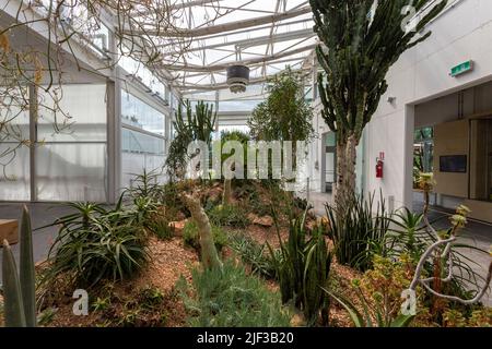 Padua, Italien - 06 10 2022: Der Garten der Biodiversität im Botanischen Garten in Padua an einem Sommertag. Stockfoto