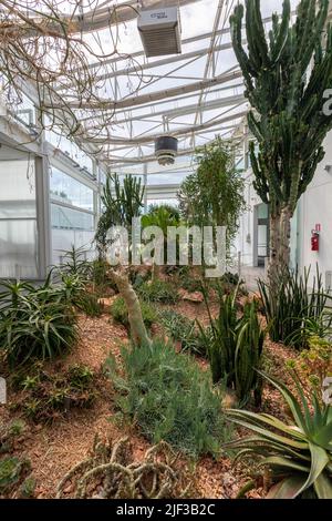 Padua, Italien - 06 10 2022: Der Garten der Biodiversität im Botanischen Garten in Padua an einem Sommertag. Stockfoto