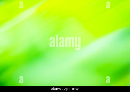 Hochgeschwindigkeitsbewegung verschwommener grüner Hintergrund. Langsame Verschlusszeit mit Bewegungsunschärfe-Grün-Effekt. Stockfoto